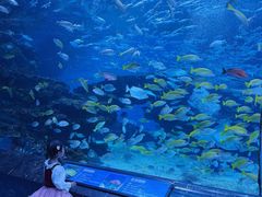 -海合安成都极地海洋公园