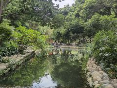 -成都市活水公园