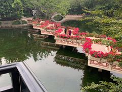 -深圳龙潭公园