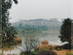 -枫香湖儿童公园