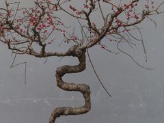 -成都杜甫草堂博物馆