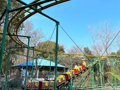 -上海共青森林公园