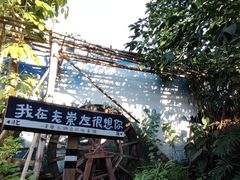 -老崇左特色风味食馆