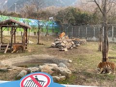 -西安秦岭野生动物园