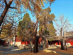 -承恩寺