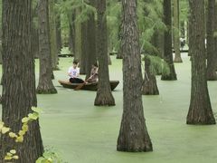 -渌洋湖湿地公园