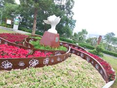 -金鸡山公园