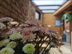 -VOYAGE COFFEE(北锣鼓巷店)