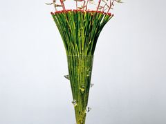 -荷兰布尔玛国际花艺学院