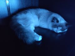 -零纪元VR体验馆·桌游(黄浦店)