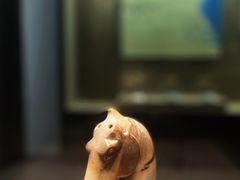 -平原博物院