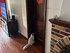 -宠颐生宠物医院·心肾内科·猫专科诊疗中心宠巢店
