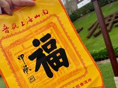 -三亚南山文化旅游区