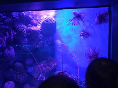-暹罗海洋世界