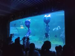 -左海海底世界