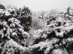 -钓鱼台国宾馆