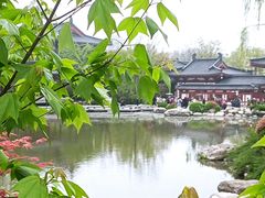 -华清宫景区