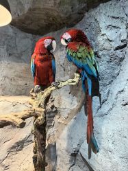 -Zoolung Zoolung动物主题公园(海信广场店)