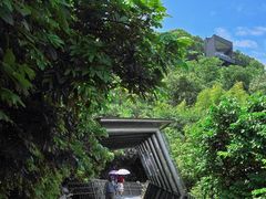 -福道