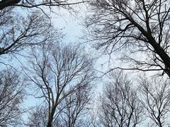 -东湖磨山景区