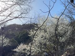 -北京凤凰岭