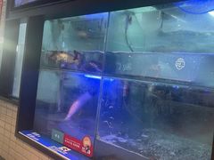 -鱼酷活鱼烤鱼(南京水游城店)