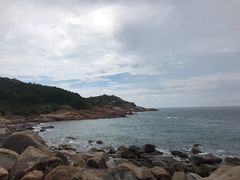 -广东惠东海龟国家级自然保护区