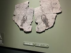 -遇见博物馆(遇见海洋沉浸式奇幻光影展)