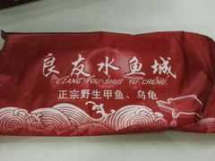 android_upload_pic-良友水鱼城