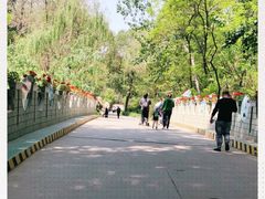 -廊坊市自然公园