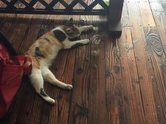 -乡乐园蟹庄·阳澄湖农家乐