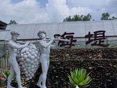 -海堤葡萄园中小学生研学基地