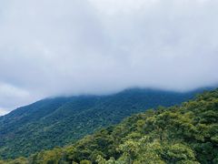 -梧桐山风景名胜区
