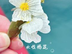 -丽江泸沽湖景区