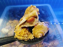 -星伦多自助料理(永旺店)