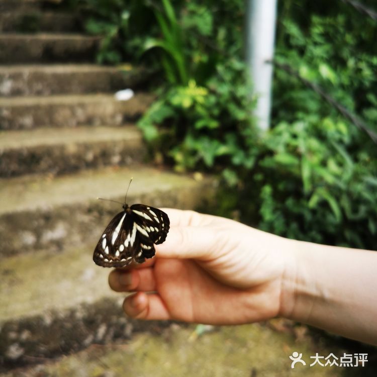 成都周边耍水好去处