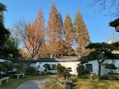 -上海醉白池公园