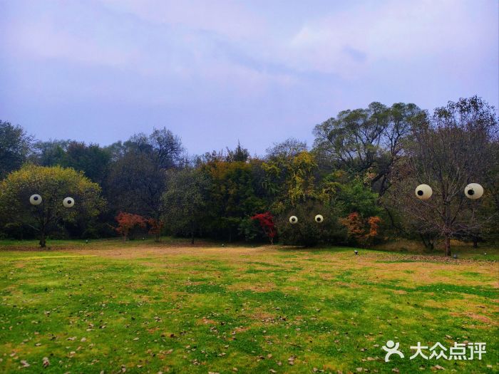 沈阳植物园图片