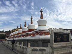 -马学武手抓美食(下南关总店)