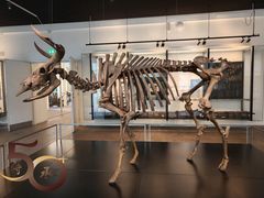 -丹麦国家博物馆