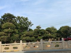 -宜兴张公洞