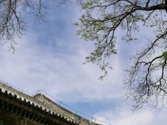 -颐和园