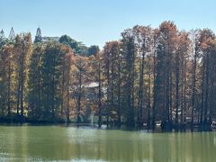 -四海酒家生态粤菜