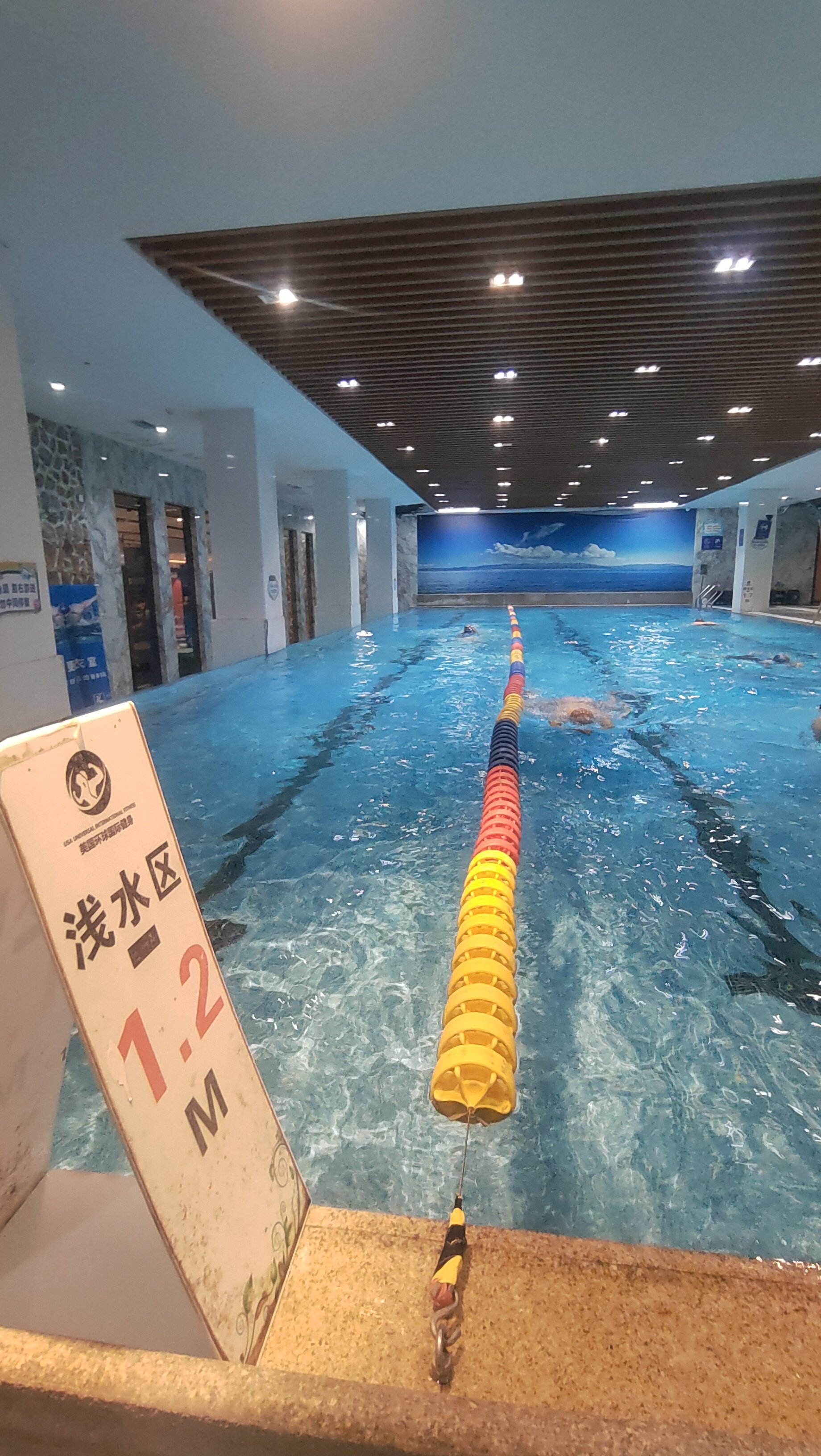 太爱了,游泳必须要来这里