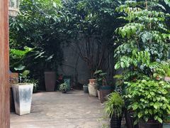 -一棵树·意大利西餐厅One Tree(新城店)