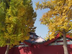 -大明幻境第一城