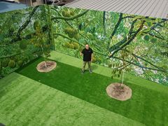 -都念榴莲·城市榴莲