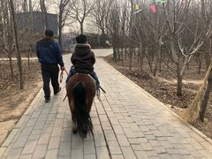 -1982农场