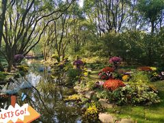 -上海共青森林公园