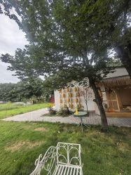 -DORA kids 朵拉儿童摄影花园店